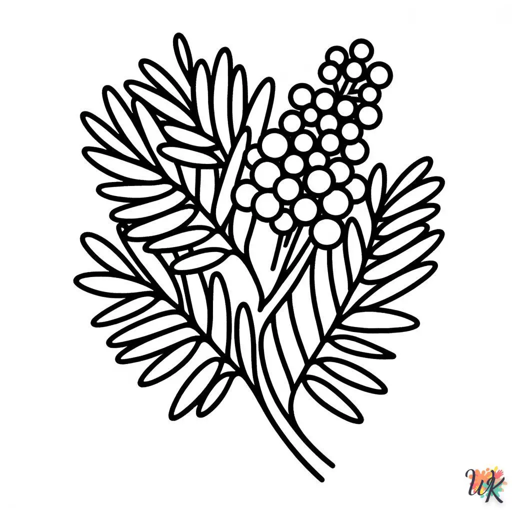 Mimosa 2 Disegni da Colorare Mimosa